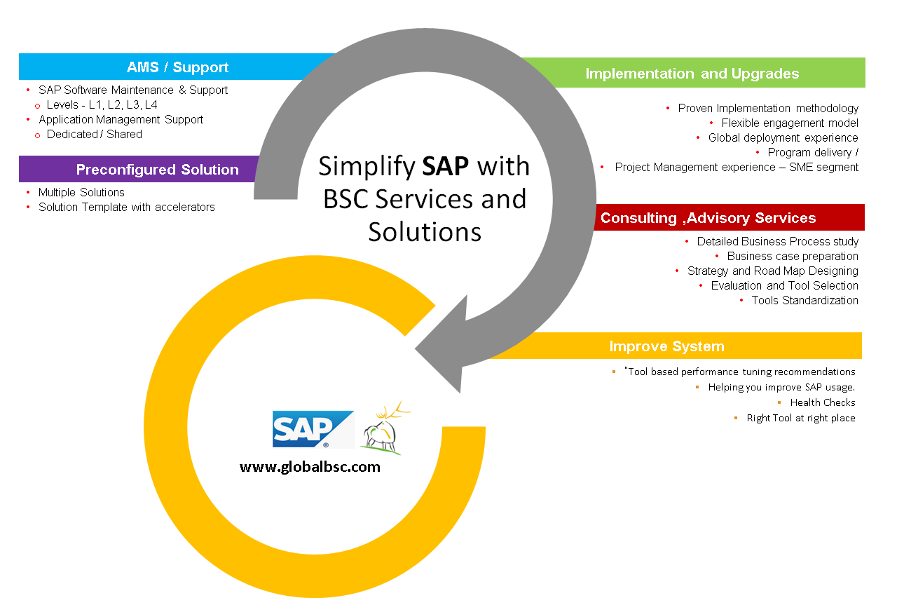 sap business one support